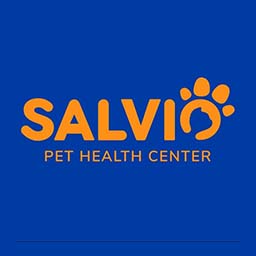 salvio.jpg